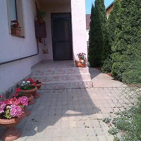 Apartment Sunny Vendeghaz